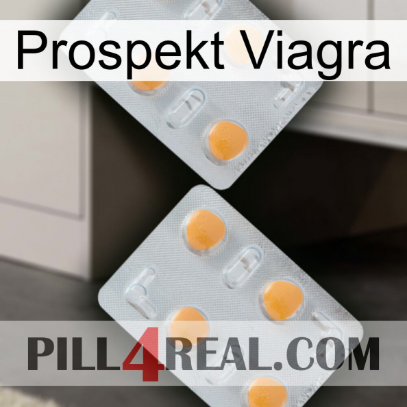 Prospecto Viagra 25.jpg